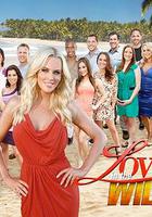 荒野求愛 第二季 線上看