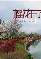 櫻花開了 線上看