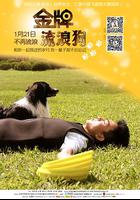 金牌流浪狗 線上看