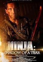 忍者2：撕裂的暗影 / Ninja: Shadow of a Tear 線上看