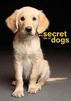 狗的秘密生活 / Secret Life of Dogs 線上看