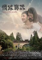 情緣廊橋 線上看