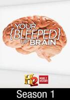 短路的大腦 第一季 線上看