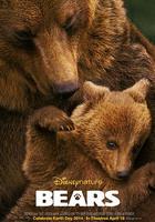 熊世界 / Bears 線上看