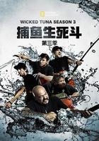 捕魚生死鬥 第三季 / Wicked Tuna Season 3 線上看