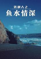 瓷都人之魚水情深 線上看