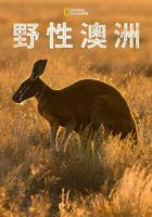 野性澳大利亞 / Wild Australia 線上看