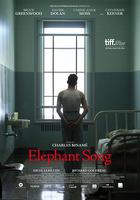 大象之歌 / Elephant Song 線上看