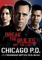 芝加哥警署 第二季 / Chicago P.D. Season 2 線上看