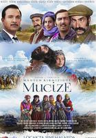 愛之奇跡 線上看