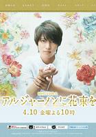 獻給阿爾吉儂的花束 / アルジャーノンに花束を 線上看