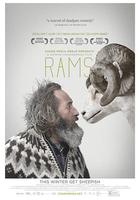 公羊 / Hrútar 線上看