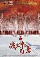 戰火中的芭蕾 線上看