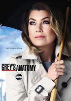 實習醫生格蕾 第十二季 / Grey's Anatomy Season 12 線上看
