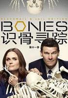 識骨尋蹤 第十一季 線上看