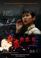 奇襲胡家台 線上看