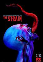 血族 第二季 / The Strain Season 2 線上看