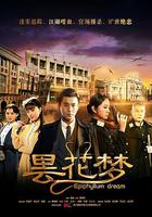 曇花夢 線上看