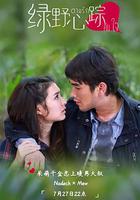 綠野心蹤 / ตามรักคืนใจ 線上看
