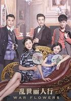 亂世麗人行 線上看