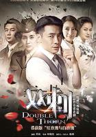 雙刺 線上看
