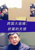 跨國大追捕：折翼的天使 線上看