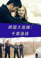 跨國大追捕：千里追逃 線上看