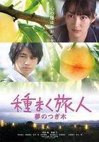 播種的旅人 線上看