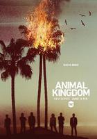 野獸家族 第一季 / Animal Kingdom Season 1 線上看