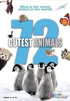 72大可愛動物 / 72 Cutest Animals 線上看