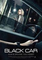 上錯黑車 / The Wrong Car 線上看