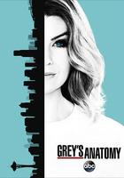 實習醫生格蕾 第十三季 / Grey's Anatomy Season 13 線上看