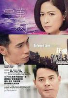 完美叛侶 線上看