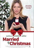 趕在聖誕節前的婚禮 線上看