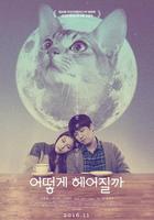 如何與我的貓分手 / 어떻게 헤어질까 線上看