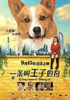 一條叫王子的狗 線上看