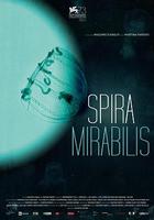 螺紋(Spira mirabilis) 線上看