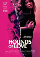 愛的獵犬 / Hounds of Love 線上看