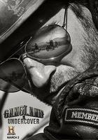 黑幫卧底 第二季 線上看