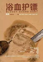 浴血護鏢 線上看