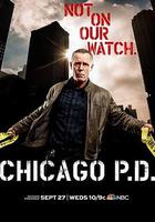 芝加哥警署 第五季 / Chicago P.D. Season 5 線上看