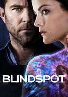 盲點 第三季 / Blindspot Season 3 線上看