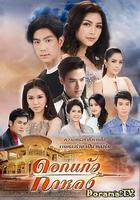 迷失的七里香 / ดอกแก้วกาหลง 線上看