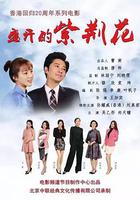 盛開的紫荊花 線上看