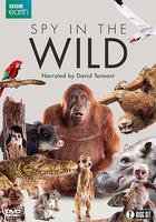 荒野間諜 第一季 / Spy in the Wild Season 1 線上看