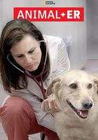 動物急症室 第二季 線上看