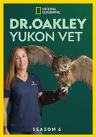 育空獸醫 第六季 線上看