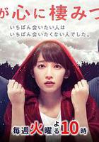 你已藏在我心底 / きみが心に棲みついた 線上看