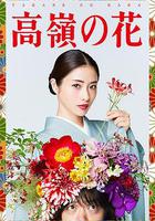 高嶺之花 / 高嶺の花 線上看