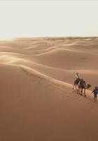 背游摩洛哥 線上看